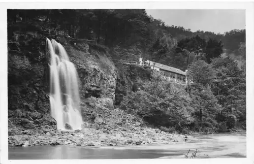 L516 Rumänien Bihor Rev Vadu Crisului Wasserfall RPPC Vintage Postkarte
