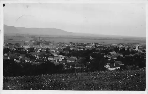 L516 Rumänien Bihor Elesd Alesd 1941 Panoramablick RPPC Vintage Postkarte