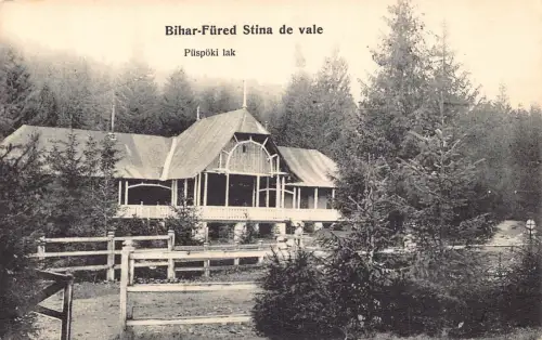 L516 Rumänien Bihor Bihar-Fured Stana de Vale Vintage Postkarte