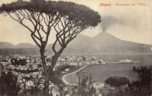 L278 Italien Neapel Napoli Panorama col Pino hoher Baum Berg Vesuv Postkarte
