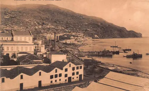 A001 Portugal Madeira Funchal Bucht Dampfschiffe Vintage Postkarte