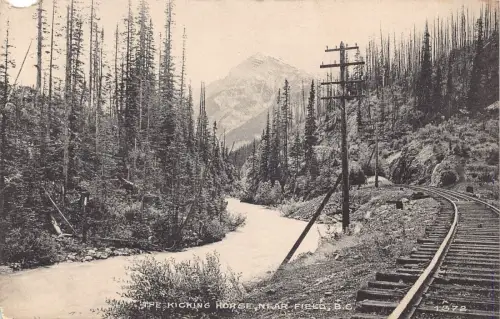 L388 Kanada Das tretende Pferd in der Nähe von Feld v. Chr. Vintage Postkarte