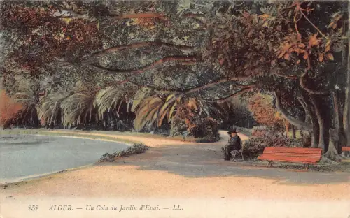 Algerien Algier Un Coin du Jardin d'Essai Vintage Postkarte