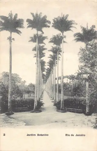 A814 Brasilien 1910 Rio de Janeiro Jardim Botanico Botanischer Garten Vintage Postkarte