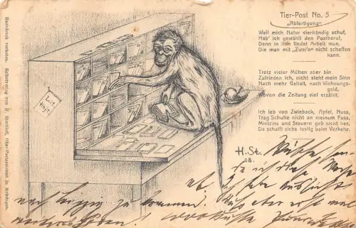 Affe Sortierpost Post Comic Humor 1909 Vintage Postkarte