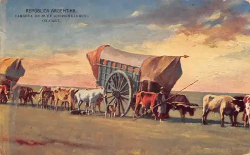 A815 Argentinien Kunst Carreta de Buey Ochsenkarre Bauern Vintage Postkarte