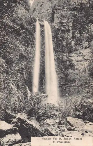 L177 Südafrika 1910 Pondolandia Mnqolo Fall Subani Forest Vintage Postkarte