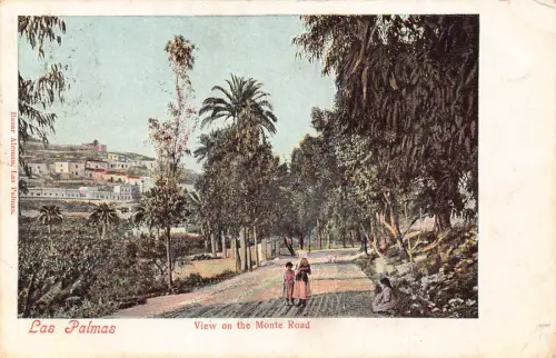 L176 Spanien 1908 Las Palmas Blick auf die Monte Road Vintage Postkarte