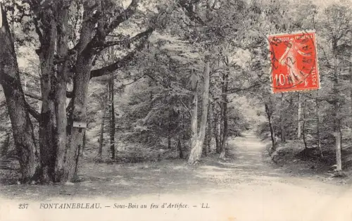 Frankreich 1912 Fontainebleau Sous-Bois au feu d'Artifice Wald Postkarte