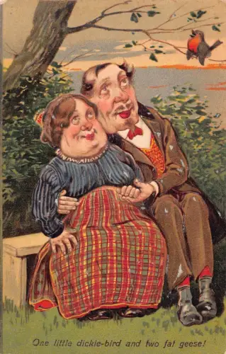 L058 Ugly Couple Bird Karikatur Comic Humor geprägt Vintage Postkarte