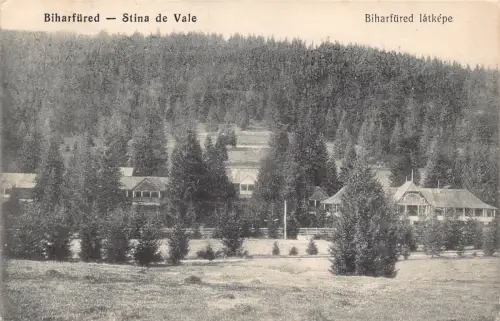 L517 Rumänien Bihor Stana de Vale Biharfured 1912 Vintage Postkarte