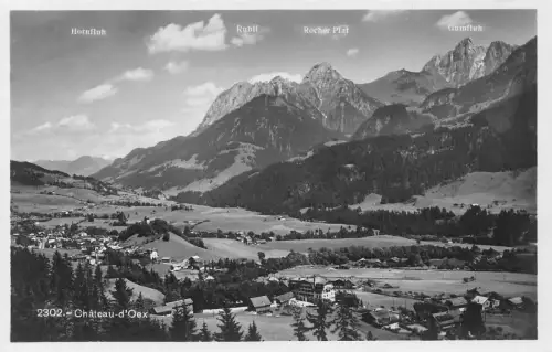 A182 Schweiz Chateau-d'Oex Berggipfel Gesamtansicht Vintage Postkarte