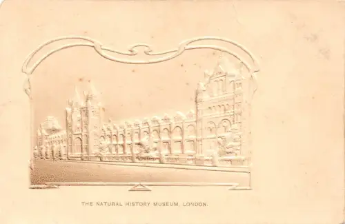 England Natural History Museum Jugendstil Prägepostkarte B832