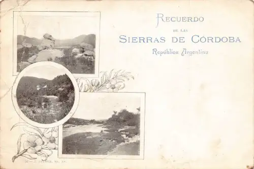 Recuerdo de Sierras de Cordoba Mehransicht Landschaft Blumen Postkarte B837