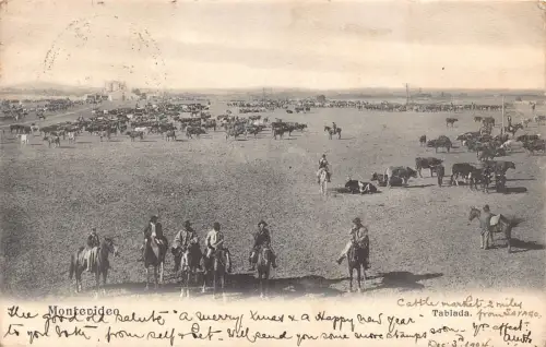 Uruguay 1904 Montevideo Tablada Reiter Rinder Kühe Vintage Postkarte B838