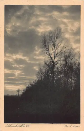 L349 Deutschland Abendstille Mondschein Dr A Sauer Prospekt für Medikamenten Postkarte