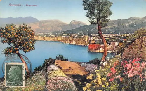 A184 Italien Sorrent Blumen Orangenbaum Gesamtansicht Vintage Postkarte