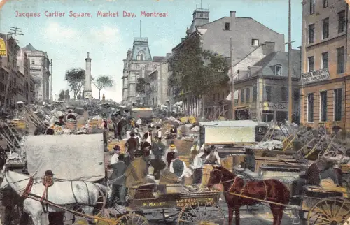 B078 Kanada Montreal Jacques Cartier Square Markttag Karren Pferde Postkarte