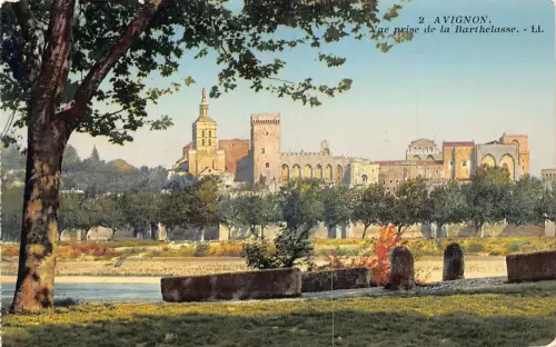C019 Frankreich, Avignon vue prise de la Barthelasse Postkarte