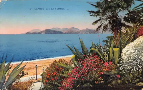 C019 Frankreich, Cannes vue sur l'Esterel Vintage Postkarte