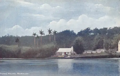 B661 Bermuda Royal Palms Vintage Postkarte