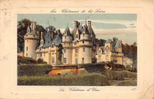 C020 Frankreich, Les Chateaux de la Loire 1909 alte Postkarte
