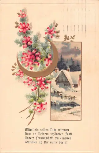 L351 Deutschland 1916 Wintergedicht Haus Schneemichel Erica Blumen Prägepostkarte