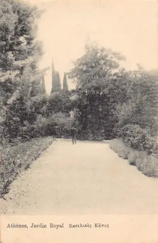 B665 Griechenland Athen Jardin Königliche Gärten Vintage Postkarte