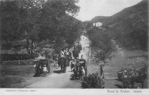 A008 Indien Jaipur Elefanten transportieren Männer Reisebusse Straße nach Amber Postkarte