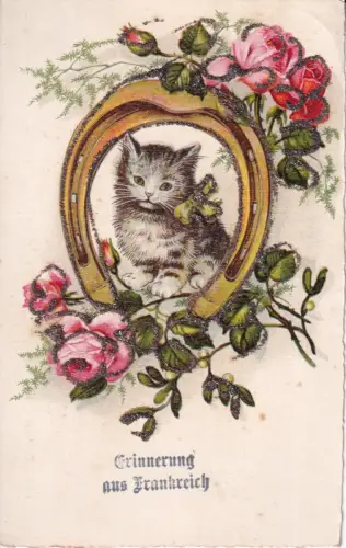 B082 Neuheit Glitzer Erinnerung aus Frankreich Kätzchen Hufeisen Rosen Postkarte