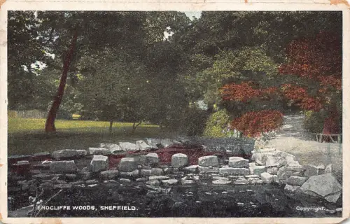 B182 England 1907 Endcliffe Woods Sheffield Vintage Postkarte