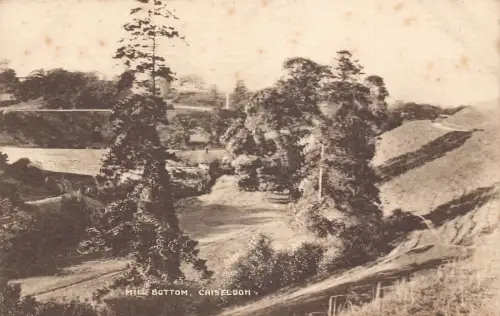 A774 England Chiseldon Mill Bottom Vintage Postkarte