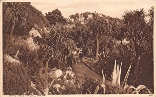 B179 England Terrace Walk and Vane Hill Torquay Vintage Postkarte