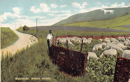 A776 England Westbury White Horse Sheep Peasant Farmer Vintage Postkarte