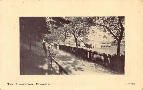 A776 England 1914 Plantation Exmouth Passepartout Vintage Postkarte
