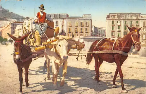B668 Italien 1929 Neapel Neapel Bauer in Tracht im Wagen Postkarte