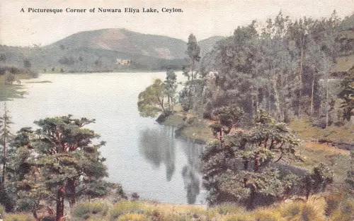 A778 Ceylon Sri Lanka Malerische Ecke Nuwara Eliya See Vintage Postkarte