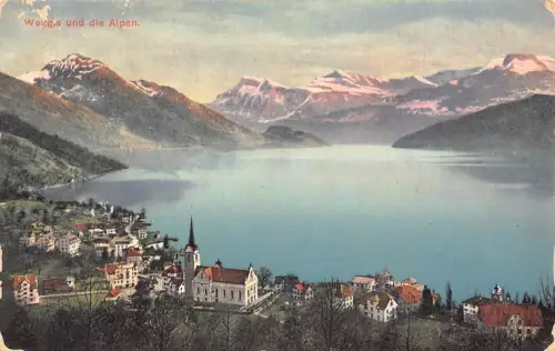 A779 Schweiz Weggis und Alpen Berg Vintage Postkarte