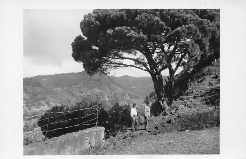 A779 Portugal Landschaft bei Choupana RPPC Vintage Postkarte