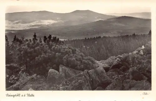 L196 Deutschland Steingeröll ad Platte Wald Berge Vintage Postkarte