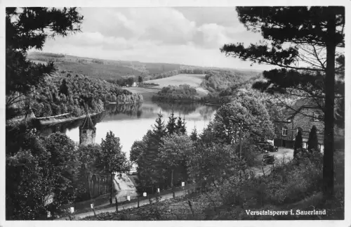 A102 Deutschland Versetalsperre i Sauerland Bäume See RPPC Vintage Postkarte