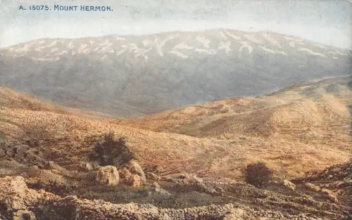 L285 Israel Berg Hermon Vintage Postkarte