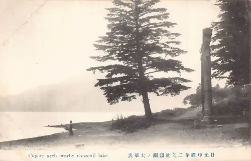 L277 Japan Kupferbogen in der Nähe von Chuzenji Lake Tree Vintage Postkarte