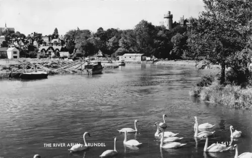 A918 England Fluss Arun Arundel Schwäne RPPC Vintage Postkarte