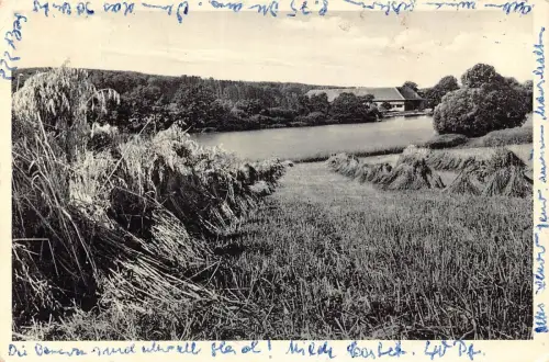 A099 Deutschland 1951 Huasweiher Luftkurortt Freilingen Westerwaelder Postkarte