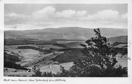 L198 Deutschland Besuchen Sie in Guetenbach Bachhof Landschaft Vintage Postkarte