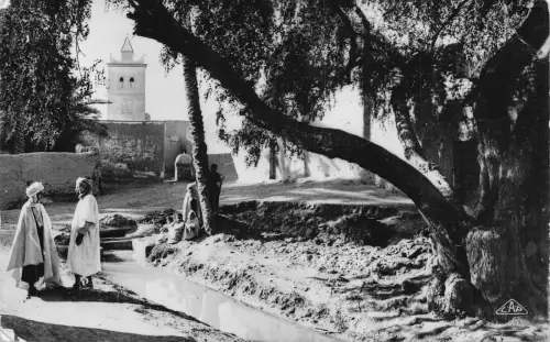 B204 Algerien Szenen et Typen Moschee dans l'Oasis Ureinwohner RPPC Vintage Postkarte