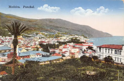 B206 Porugal Madeira Funchal Gesamtansicht Vintage Postkarte
