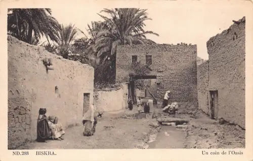 B063 Algerien Biskra Un coin de l'Oasis Kinder Vintage Postkarte