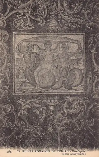 B063 Algerien Römische Ruinen von Timgad Mosaik Venus Anadyomene Vintage Postkarte